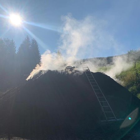 Ferienwohnung Waldkoehlerei Michelbach Bagian luar foto