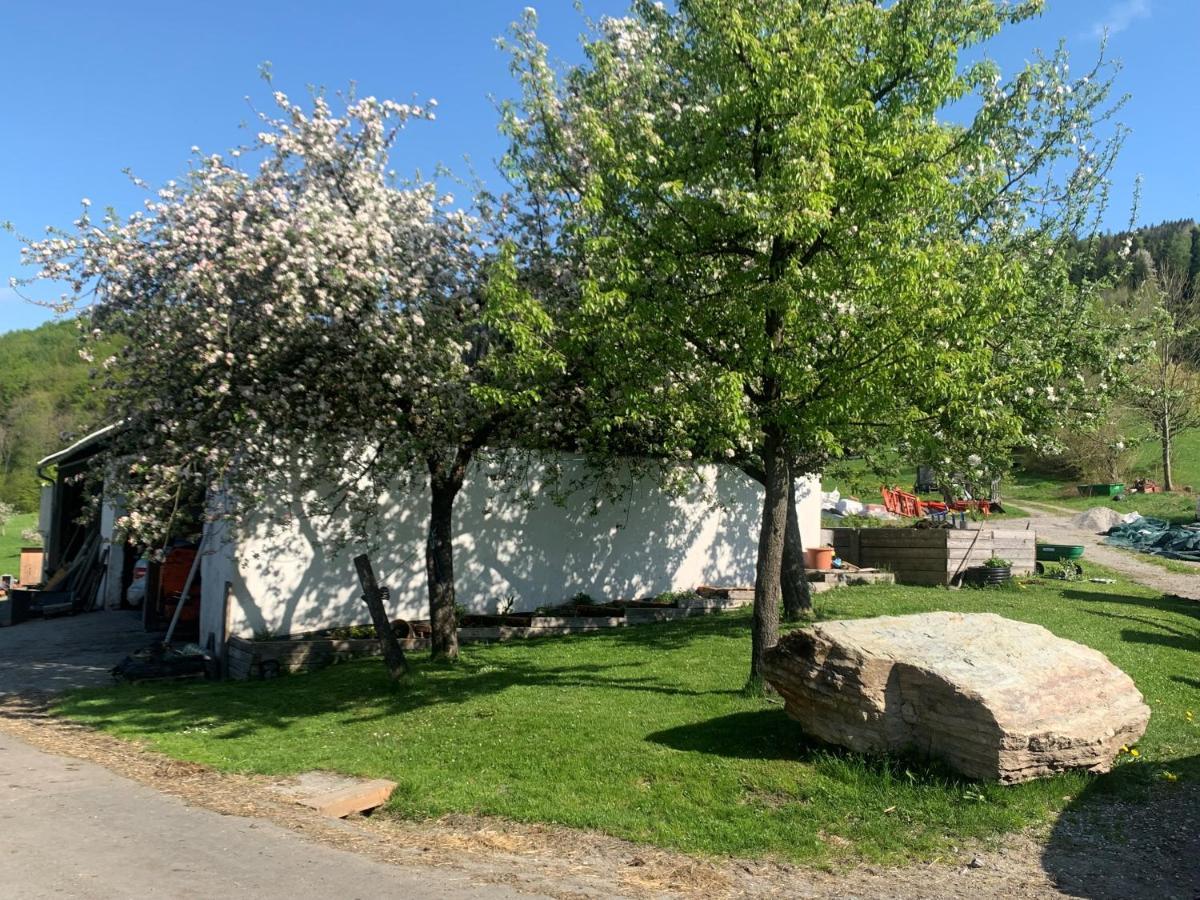 Ferienwohnung Waldkoehlerei Michelbach Bagian luar foto