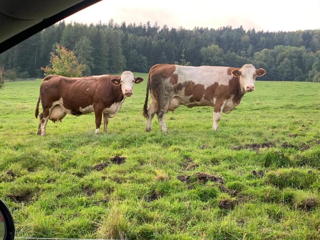 Ferienwohnung Waldkoehlerei Michelbach Bagian luar foto